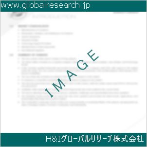 グローバルリサーチ調査資料のイメージ